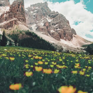 Switzerland
